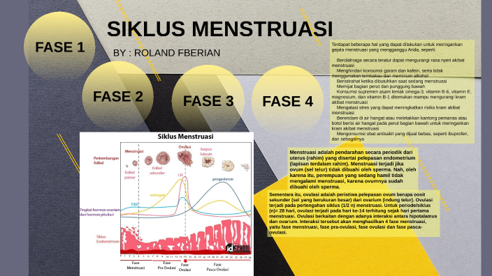 Siklus Menstruasi Ppt By Roland Febrian On Prezi