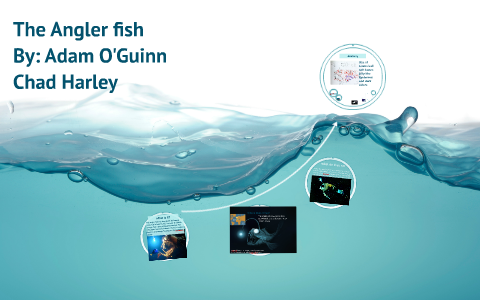 The Angler fish by carlos casares on Prezi