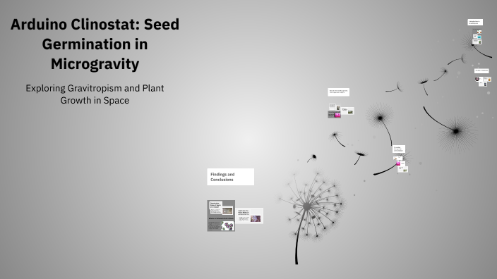 Arduino Clinostat: Seed Germination in Microgravity by Aryan Mahato on ...