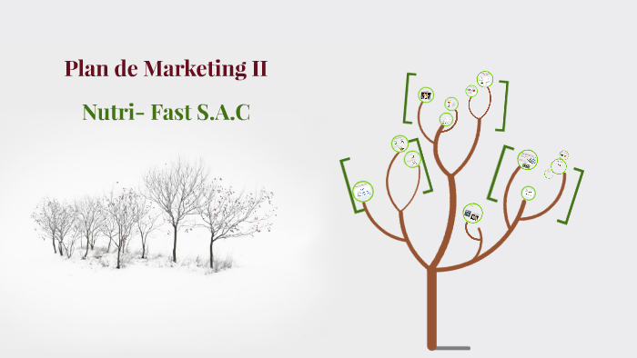 Plan de Marketing II by manuel ancajima on Prezi