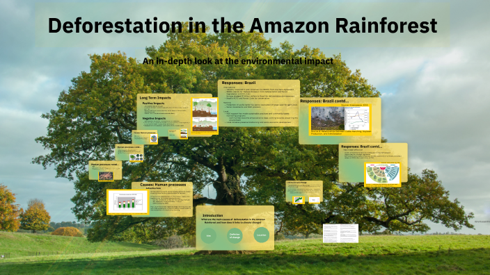 Deforestation in the Amazon Forest by drmmuc m on Prezi