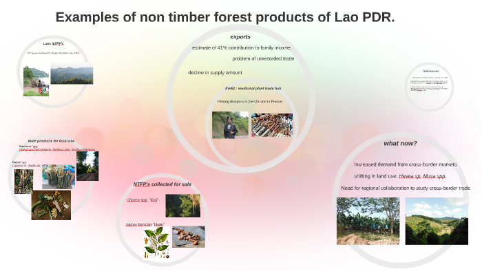 Focus on non timber forest products of Lao by Rafaëlle Reumaux