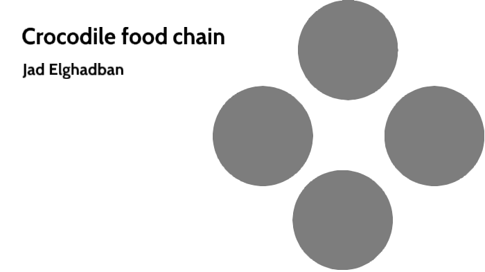 Crocodile food chain by Jad Elghadban on Prezi