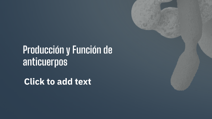 Producción Y Función De Anticuerpos By Felipe Vidal On Prezi Producción Y Función De Anticuerpos By Felipe Vidal On Prezi