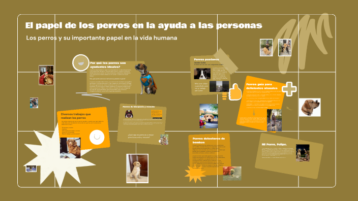 The Role of Dogs in Helping People by Nicola Mac Mahon on Prezi