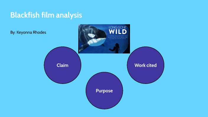 thesis of the film blackfish