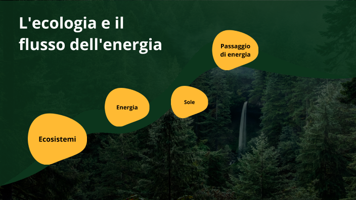 L'ecologia e il flusso dell'energia by Nicolas Gusmini on Prezi