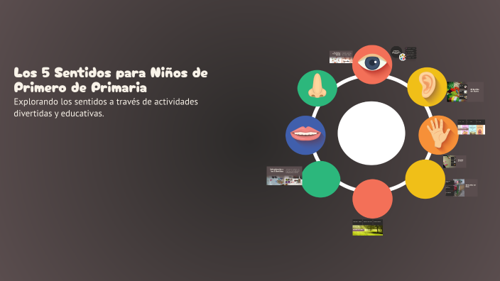 Los 5 Sentidos para Niños de Primero de Primaria by Aurora Diaz de la ...