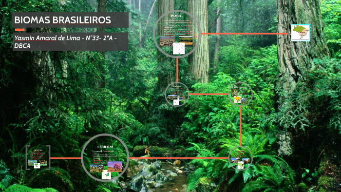 BIOMAS BRASILEIROS by Yasmin Amaral de Lima on Prezi