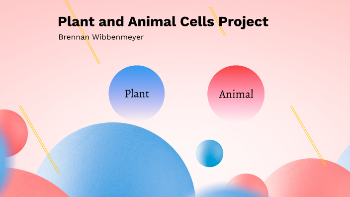 Plant and Animal Cells Project by Brennan Wibbenmeyer on Prezi
