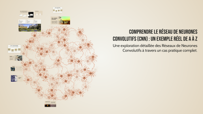 Comprendre le Réseau de Neurones Convolutifs (CNN) : Un Exemple Réel de ...