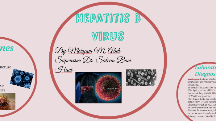 Hepatitis B by Maryam Mohamed on Prezi