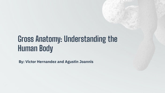 Gross Anatomy: Understanding the Human Body by Victor Hernandez on Prezi Biology Diagrams