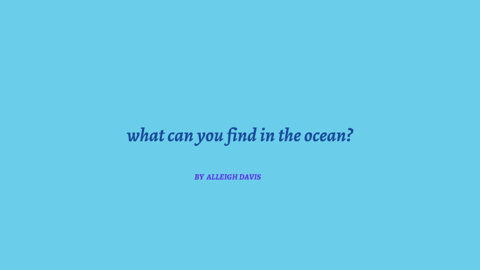 what-can-you-find-in-the-ocean-by-alleigh-davis