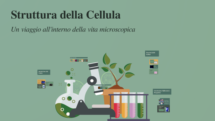 Struttura della Cellula by Alice Missaglia on Prezi
