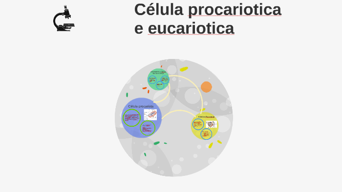 celula procariotica e eucariotica