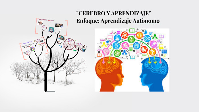 CEREBRO Y APRENDIZAJE by Josh Nun on Prezi
