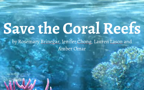 Save the Coral Reefs by Lauren Lason on Prezi