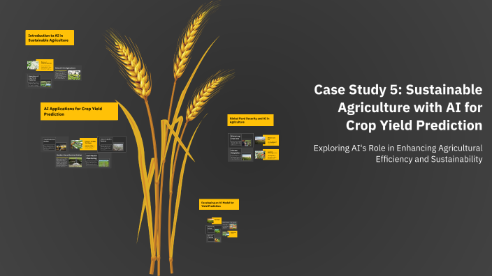 Case Study 5: Sustainable Agriculture with AI for Crop Yield Prediction ...