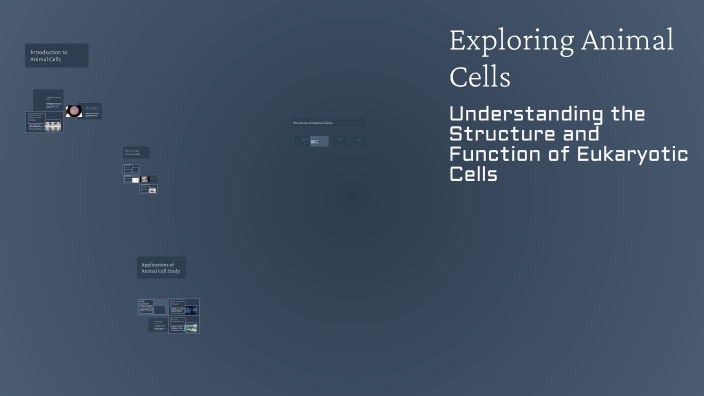 Exploring Animal Cells by Sohaib Fala on Prezi