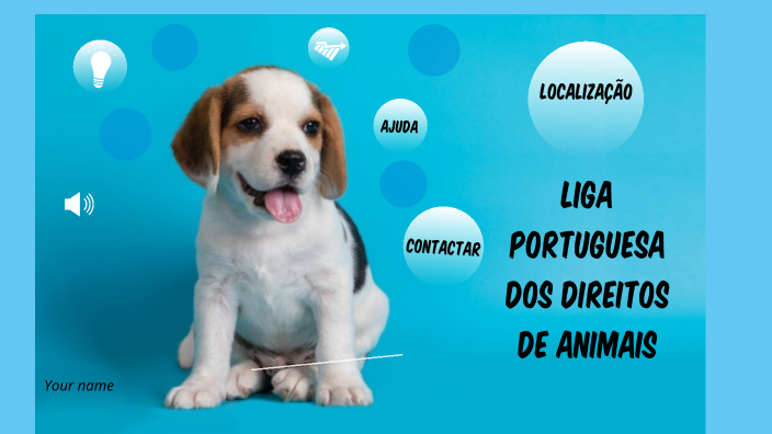 LIGA PORTUGUESA DOS DIREITOS DOS ANIMAIS by Ana Leonor Oliveira