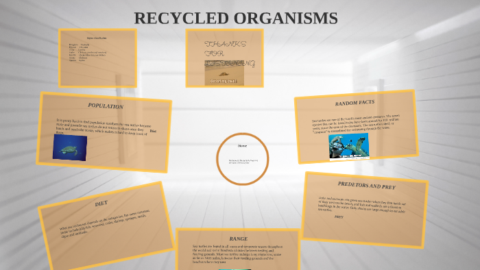 recycled-organisms-by-aleks-m