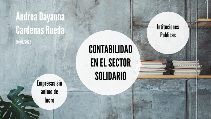 CONTABILIDAD EN EL SECTOR SOLIDARIO by yeferson galan on Prezi