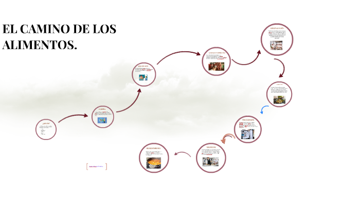 El Camino De Los Alimentos By Francisco Mendoza Pérez On Prezi 4781