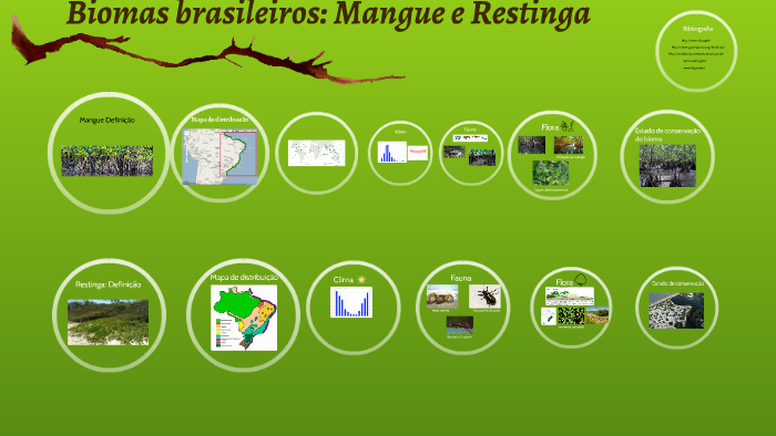 Biomas brasileiros: Mangue e Restinga by Alexia Lopes on Prezi