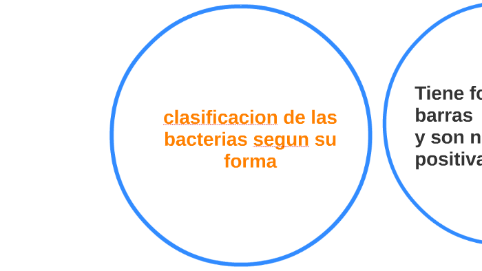 Tipos De Bacterias Segun Su Forma