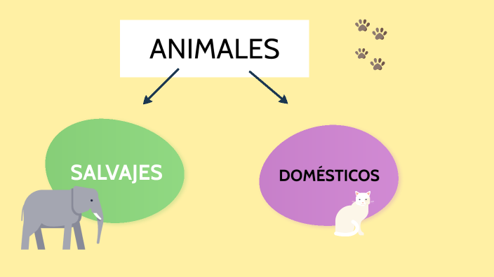 Diferencia entre animales domésticos y salvajes by Lucía de Miguel ...