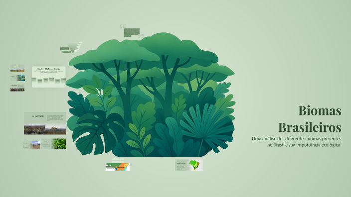 Biomas Brasileiros by Igor Moura on Prezi