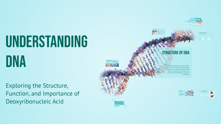 Understanding DNA by 6444-Lamar Ammar Marzouki on Prezi