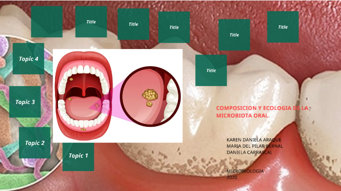 Probactis - Ya hemos comentado en otras ocasiones que el estado de nuestros  dientes 🦷 y nuestra microbiota oral están directamente relacionados. De  esta forma, vemos como se produce un círculo cerrado