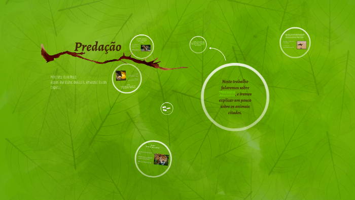 Predação by ana ferreira on Prezi