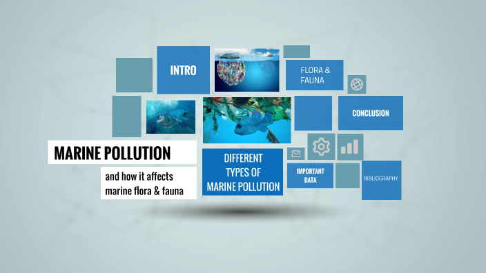 Marine Pollution Personal Project By Francesca Stagnaro On Prezi