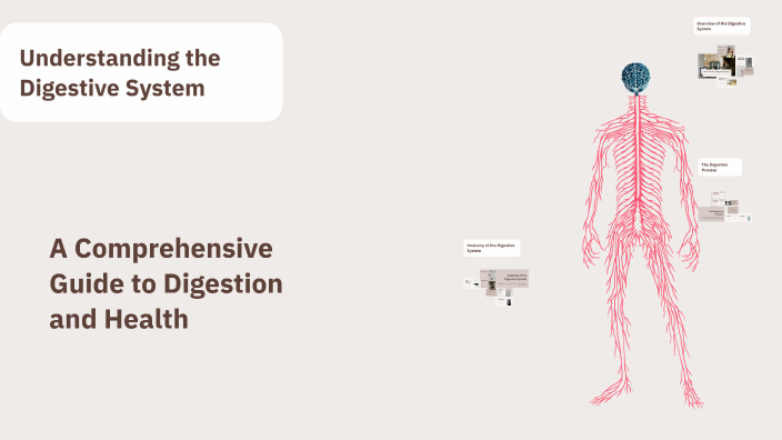 Understanding the Digestive System by kori hathcock on Prezi