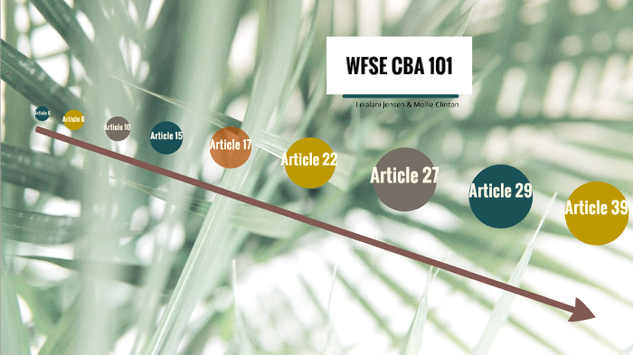 WFSE CBA 101 by Mollie Clinton on Prezi