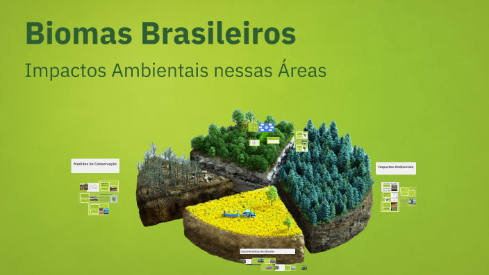 Biomas Brasileiros by Ana Valéria dos Santos Oliveira on Prezi