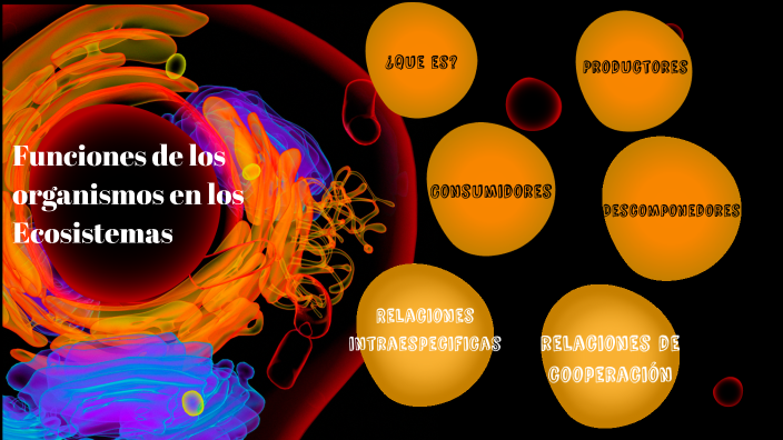 FUNCIÓN DE LOS ORGANISMOS EN LOS ECOSISTEMAS by Belinda Poluche on Prezi