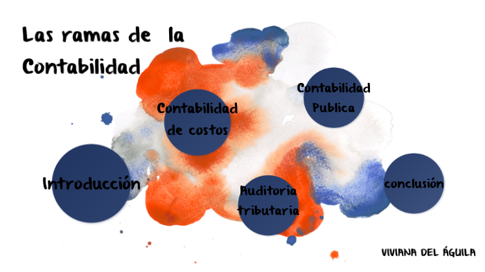 LAS RAMAS DE LA CONTABILIDAD by viorica del aguila lazo on Prezi