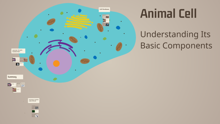 Animal Cell by Diana Niculae on Prezi