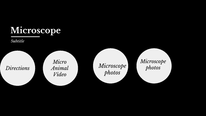 Microscope webquest
