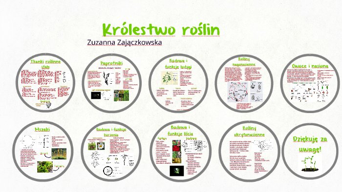 Królestwo roślin by Sue McHare on Prezi