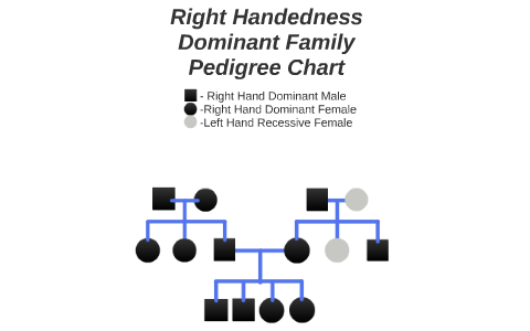 Sample Pedigree Chart