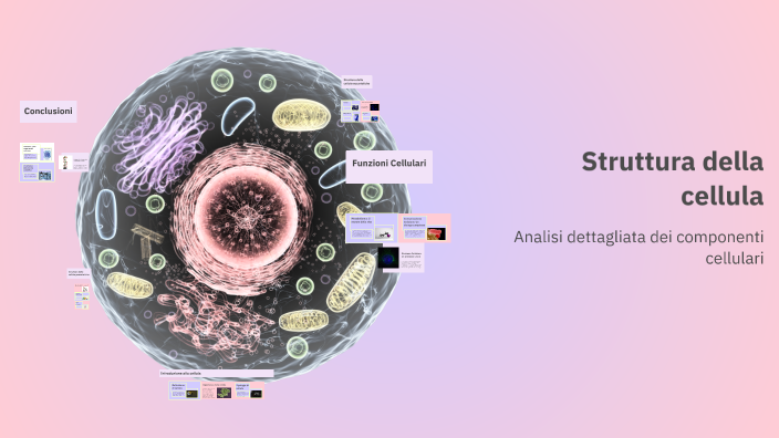Struttura della cellula by Carolina Iorio on Prezi