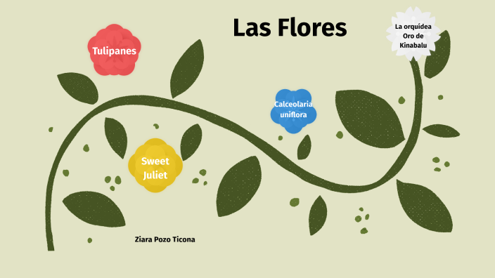 Las Flores by Fernanda Pozo on Prezi Next