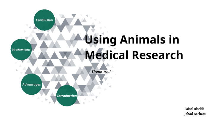 using animals in medical research