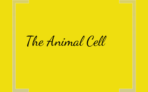 The Animal Cell by Anthony Patrick on Prezi