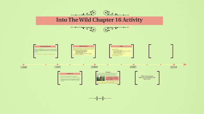 chapter 16 17 into the wild